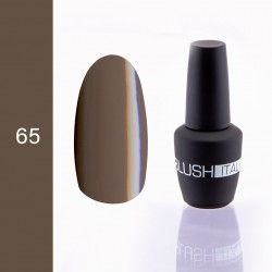 Gel polish 15ml BGP065