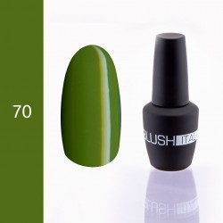 Gel polish 15ml BGP070