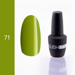 Gel polish 15ml BGP071