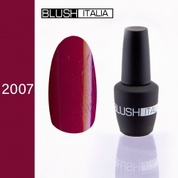 Gel polish 15ml BGP02007